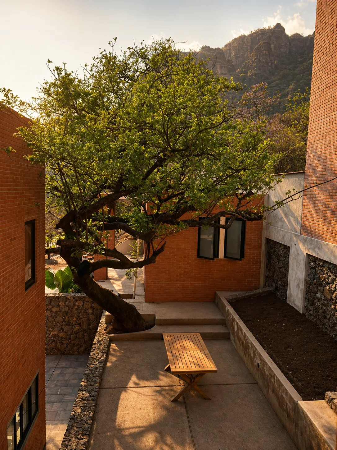 Árbol integrado a la arquitectura con el Tepozteco al fondo